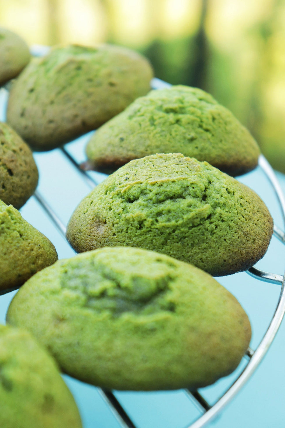Madeleines au matcha bio