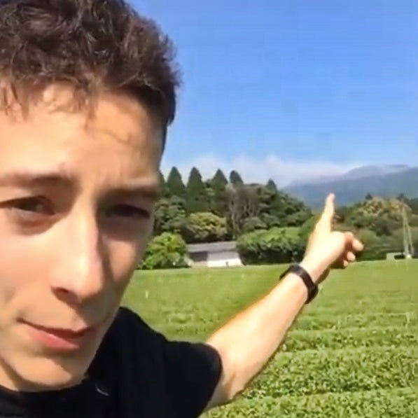 Les champs du matcha ultra-premium bio au bord du volcan en éruption !