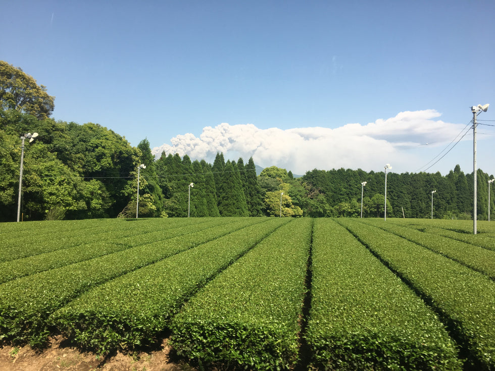 Profil de fermier : Nishi-san