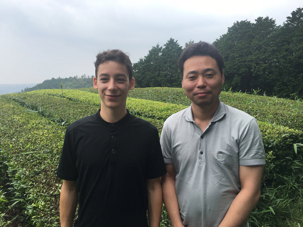 Le premier matcha artisanal millésimé et "single-origin"