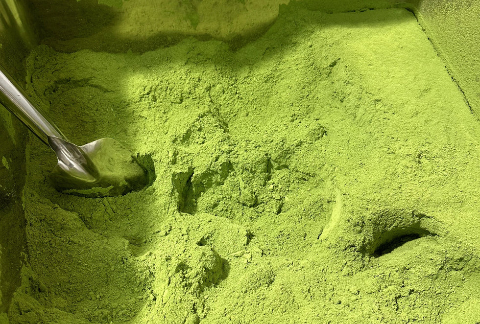 conserver matcha