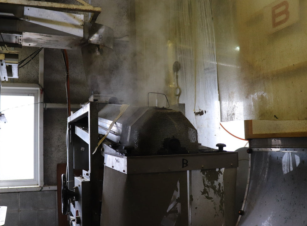 Le matcha "C’est pas sorcier" : processus de production de la feuille au bol