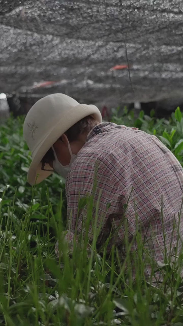 Les visages derrière nos matcha